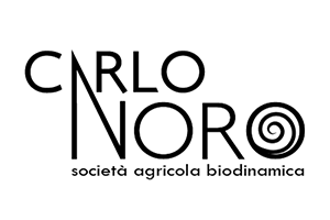 Carlo Noro