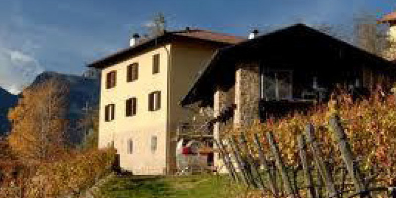 www.area6srl.it